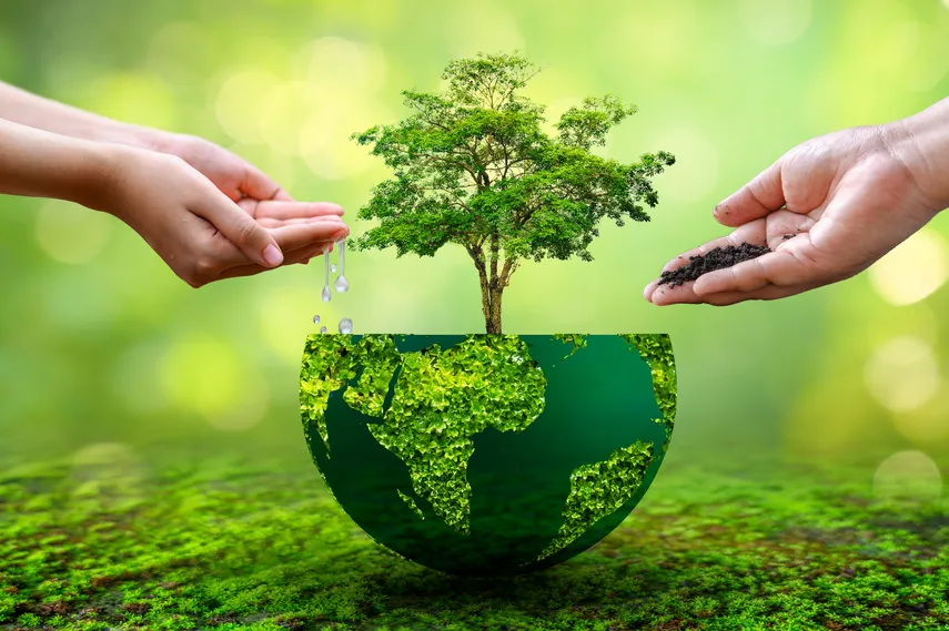 Haz del 22 de Abril un Día Verde: Ideas Creativas para Celebrar el Día de la Tierra