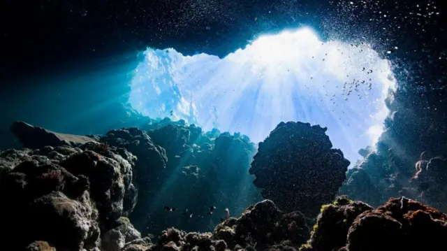 El océano se oscurece: cómo una disminución de la luz solar amenaza la vida marina y el clima global