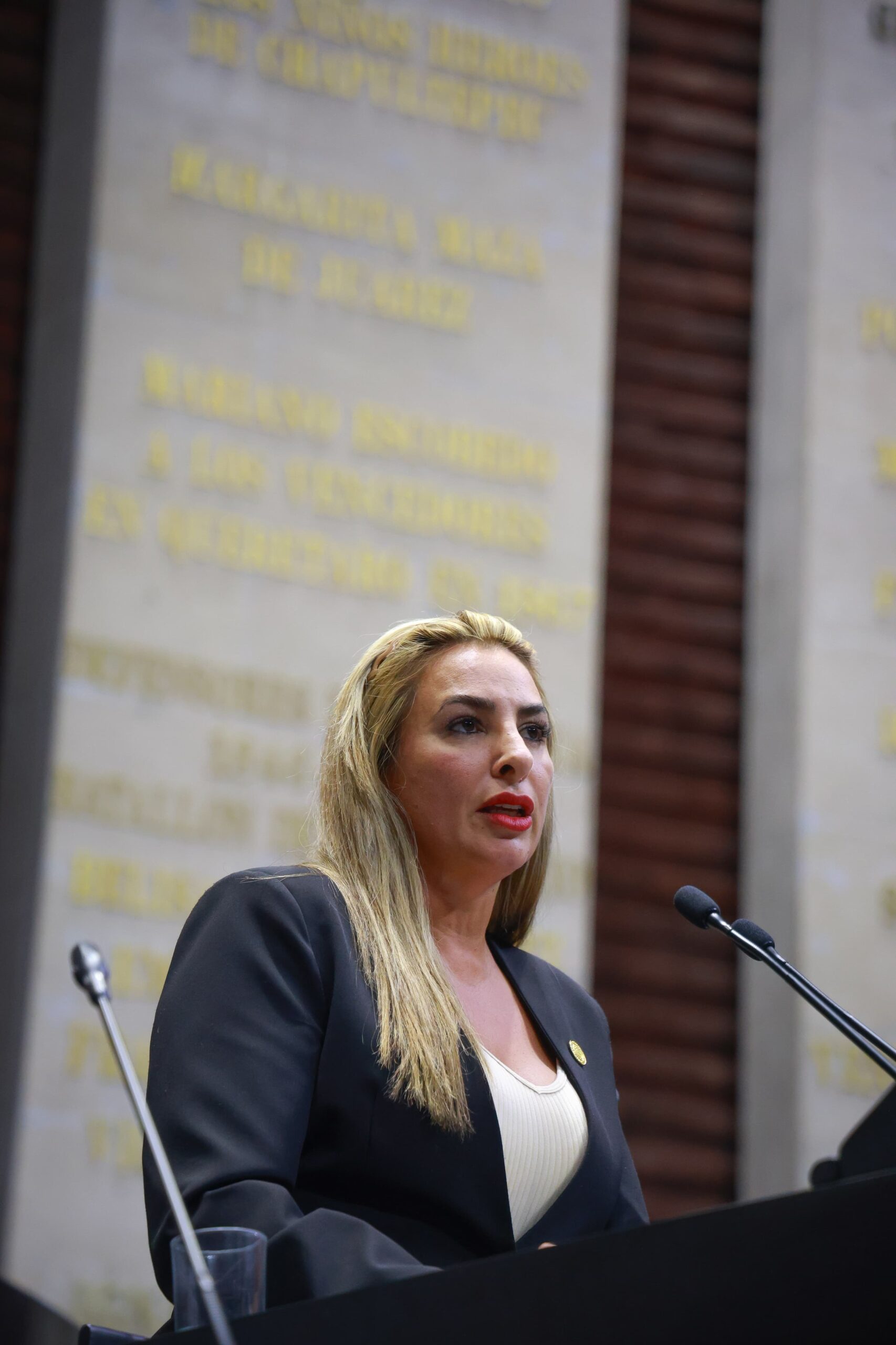 Nueva Ley de Inteligencia fortalece seguridad con enfoque democrático
