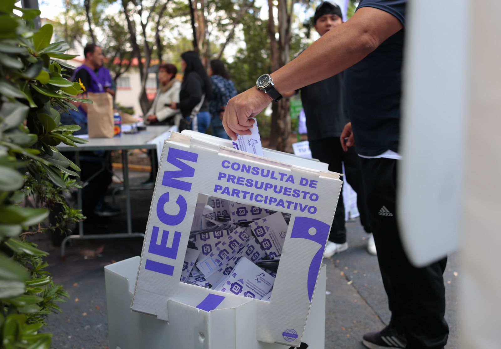 Participación histórica: Consulta de Presupuesto 2025 supera expectativas