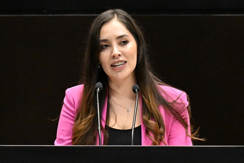 México quiere frenar la crueldad: padrón nacional contra maltrato animal