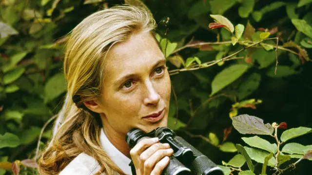 El legado de Jane Goodall, la científica que nos enseñó a entender a los primates