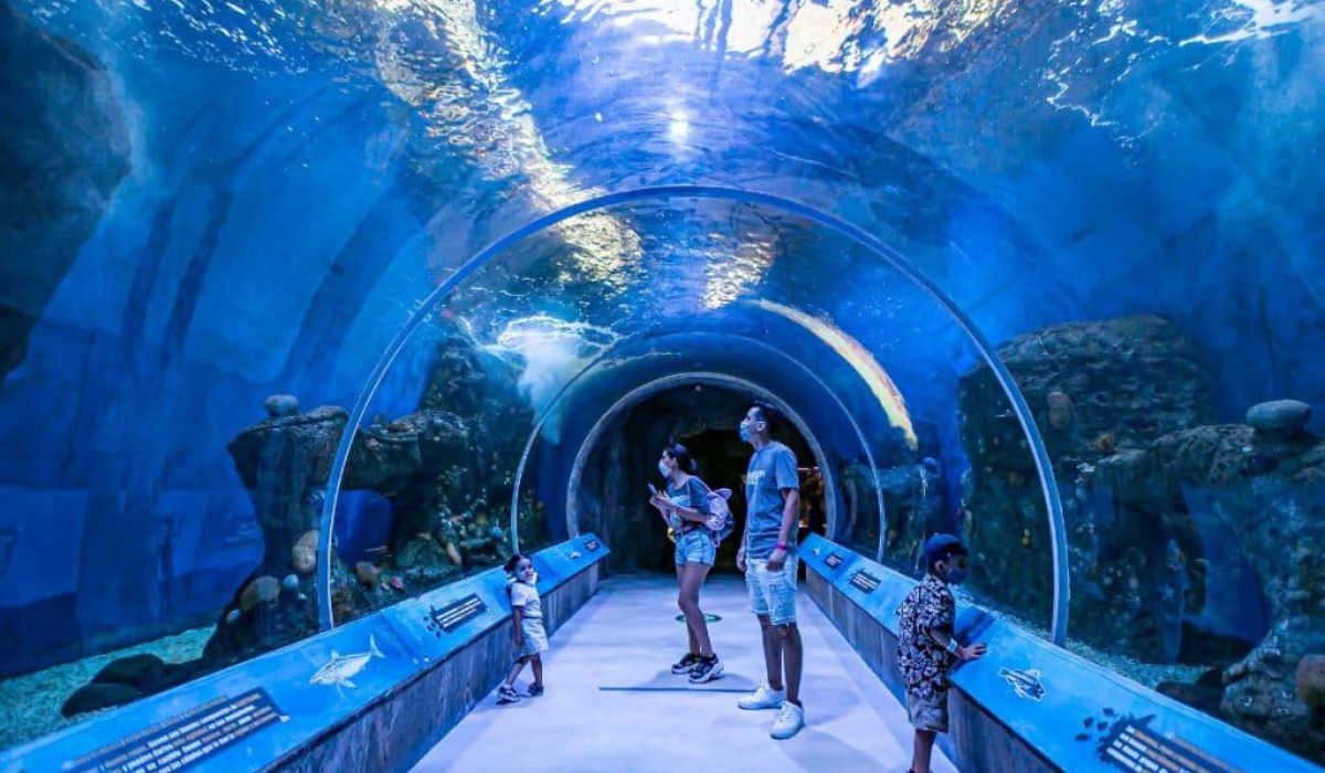 Terror, arte y fantasía: las experiencias imperdibles en la CDMX este fin de semana