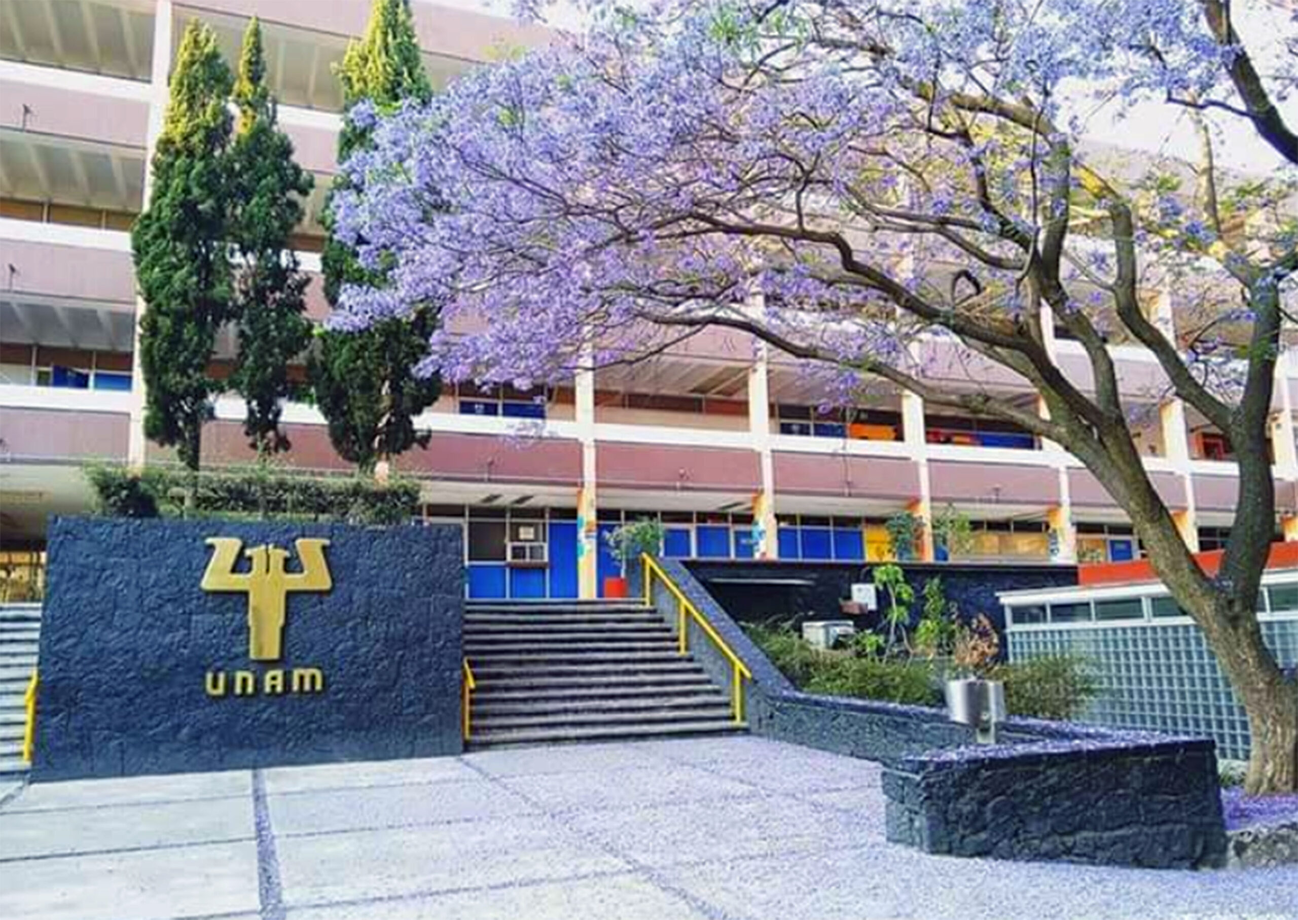 UNAM lanza nueva Maestría en Psicogerontología para atender el envejecimiento en México