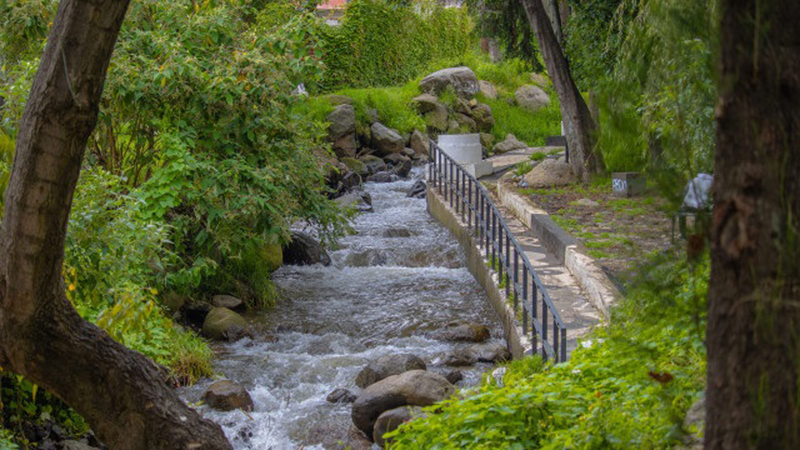 Ríos invisibles: especialistas buscan devolver el agua a las ciudades