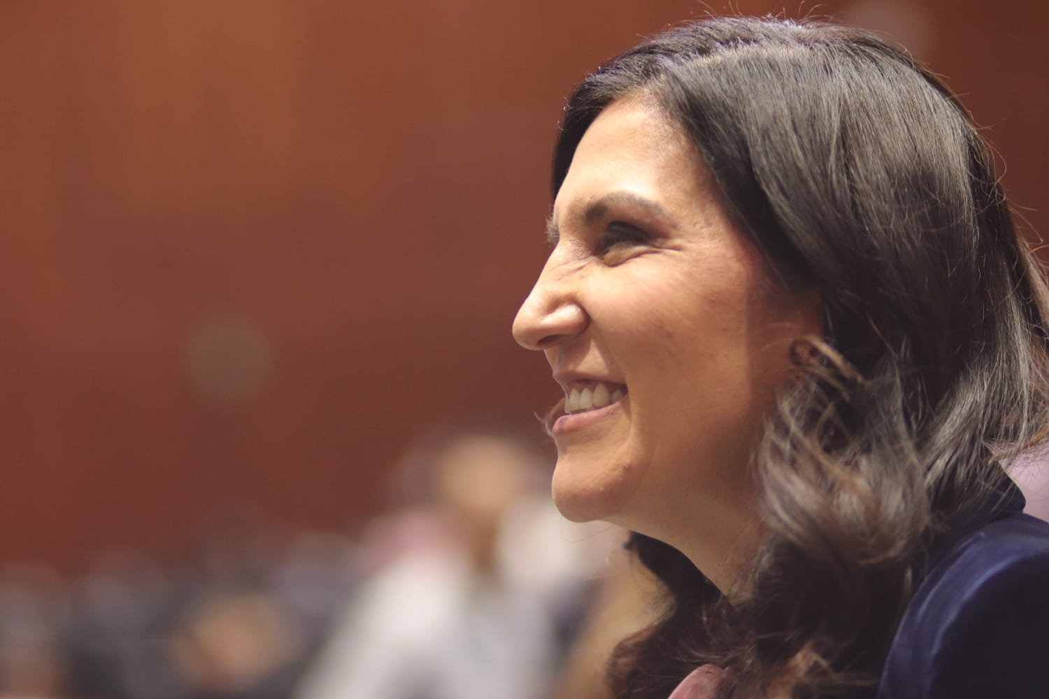 Cámara de Diputados pide detener queja contra consejeros electorales por revocación de mandato