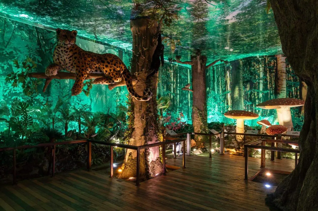 La ruta cultural 2025 crece con museos nuevos y sin costo