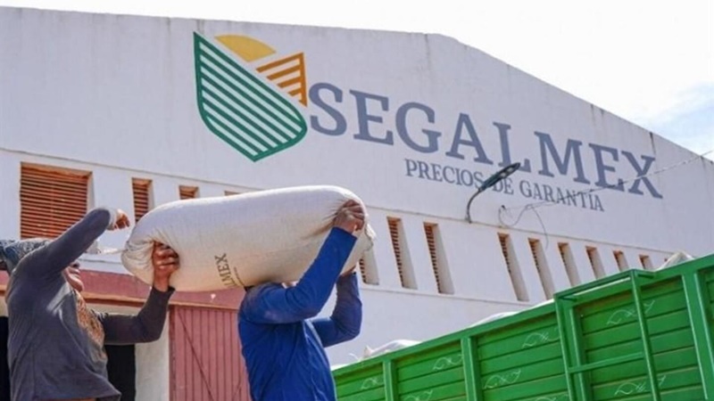 Segalmex: Empresario clave ligado a huachicol y red de armas