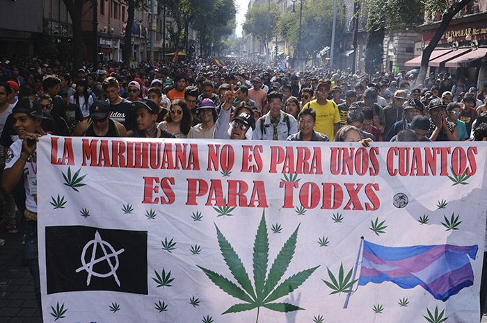 Fuerza 420 en CDMX: cientos marchan hoy para demandar regulación del cannabis