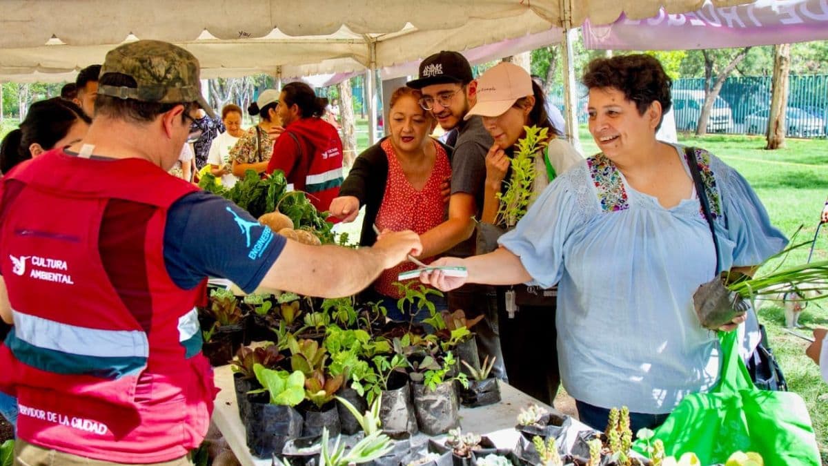 ¿Tienes residuos en casa? Consulta el calendario 2026 del Mercado de Trueque en la CDMX