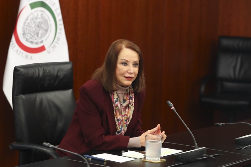 Reforma electoral sin control del gobierno, promete el Senado