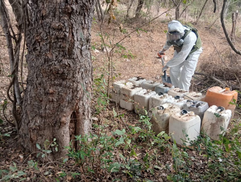 Operativos federales golpean finanzas del crimen en seis estados