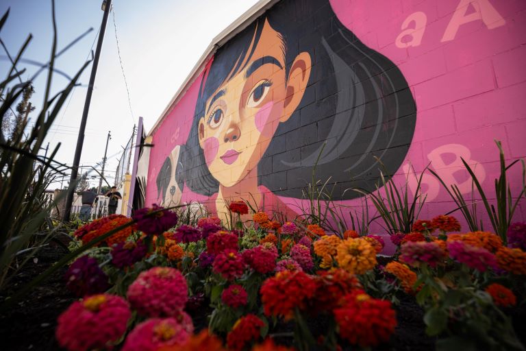 Más infraestructura en pueblos originarios, ¿respuesta estructural o acciones focalizadas?