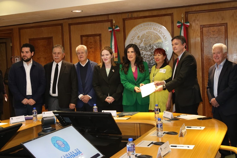 FAD exige a López Rabadán parlamento abierto para blindar leyes electorales