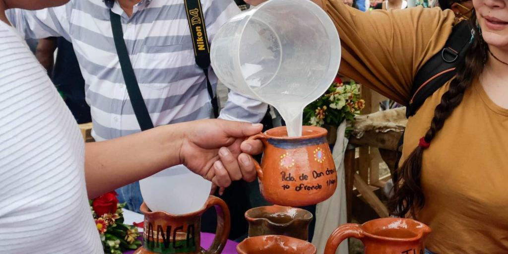 Agave y tradición en la Condesa: así será el Festival del Pulque y Mezcal 2026